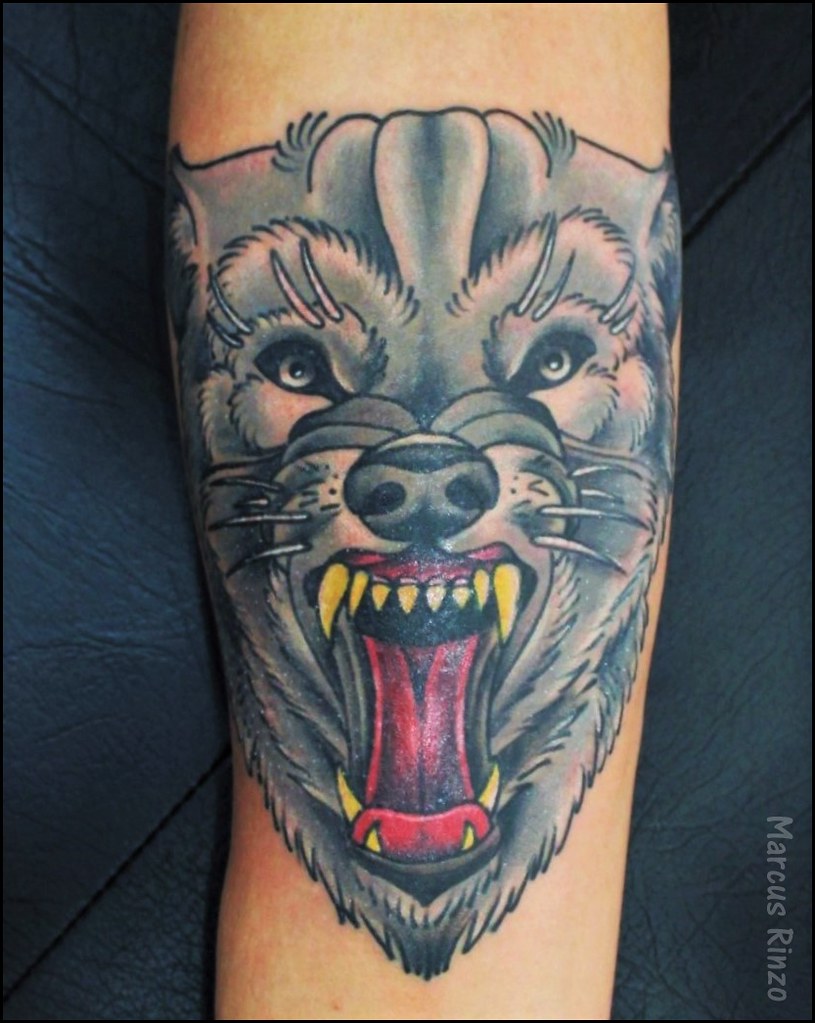 Tatuagem De Um Lobo Na Batata Da Perna MMOD 25+ Mejor Buscando Tatuagem De Lobo Na Panturrilha Da Perna Angelito