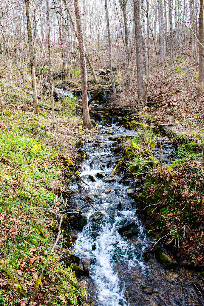 Weston Ecotour Leonard Springs Nature Park Latimer Woods