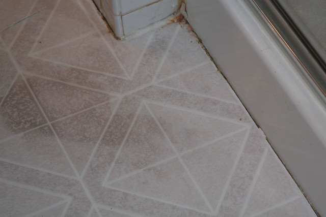 Linoleum Mold Under Linoleum