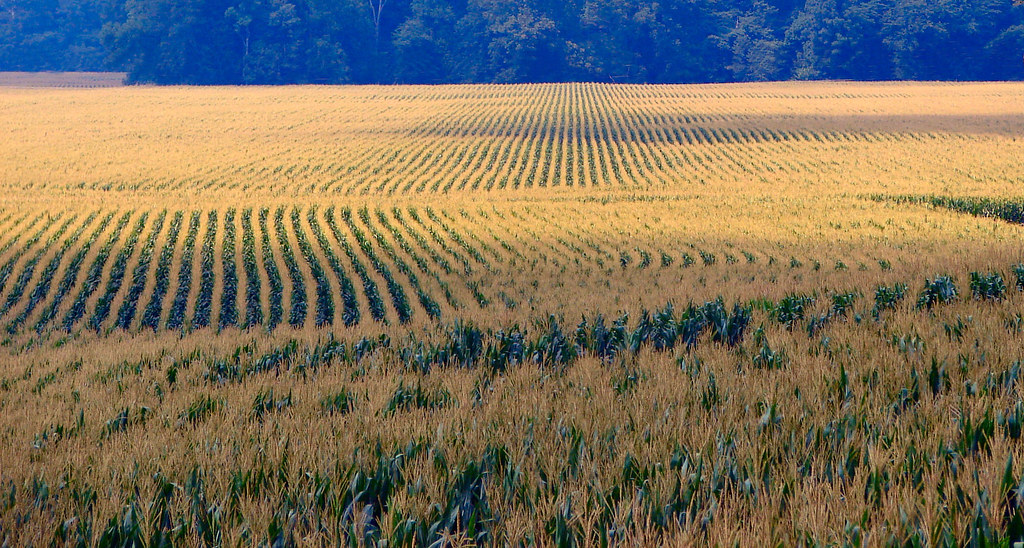 United States Highlighting Agriculture United States