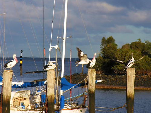 Sandstone Island island. Victoria. Australia