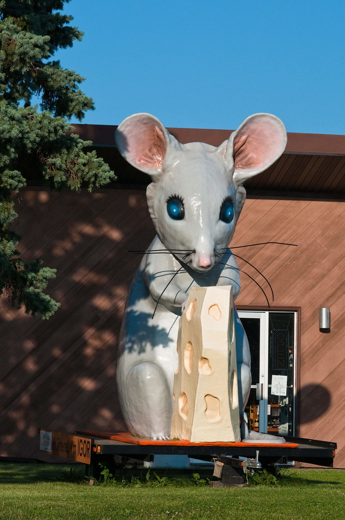 Elevation of Grant County, WI, USA Topographic Map Altitude Map