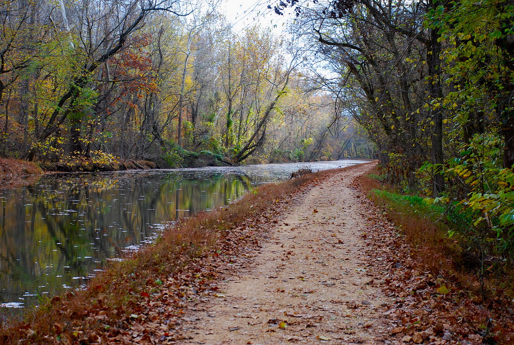 Black Pond Fairfax County, Virginia Tripcarta