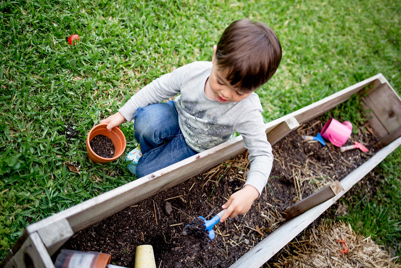 Top 10 Free Outdoor Activities for Babies and Toddlers cute & little