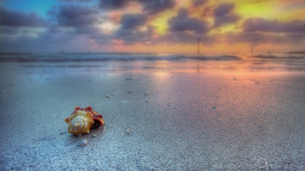 Balmoral Dr, Clearwater, FL, USA Sunrise Sunset Times