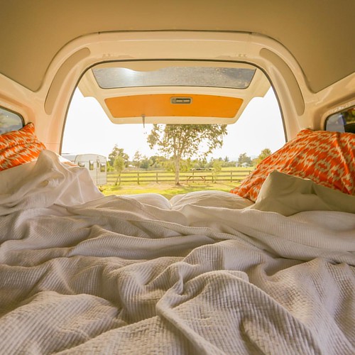 Elevation of Greytown, New Zealand Topographic Map Altitude Map