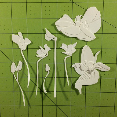 Cut Paper Relief Joey Bates