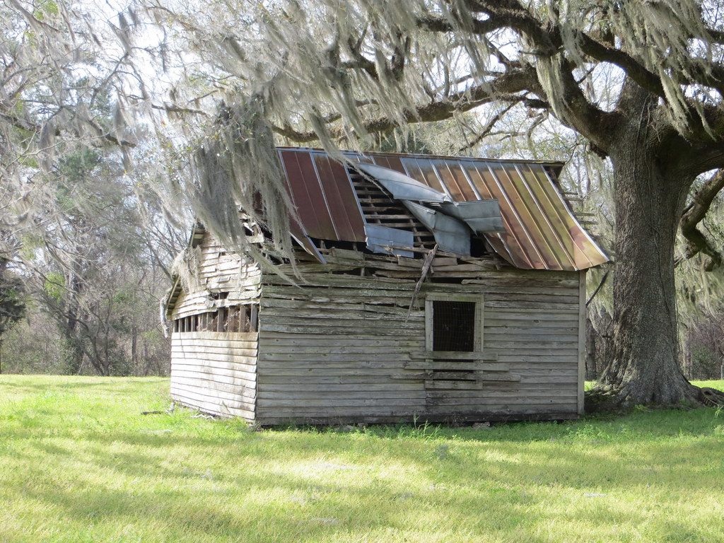 Elevation of Quincy, FL, USA Topographic Map Altitude Map