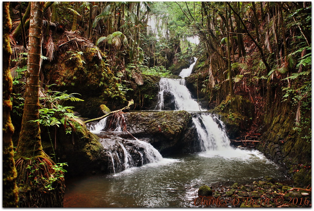 Elevation of Papaikou, HI, USA Topographic Map Altitude Map
