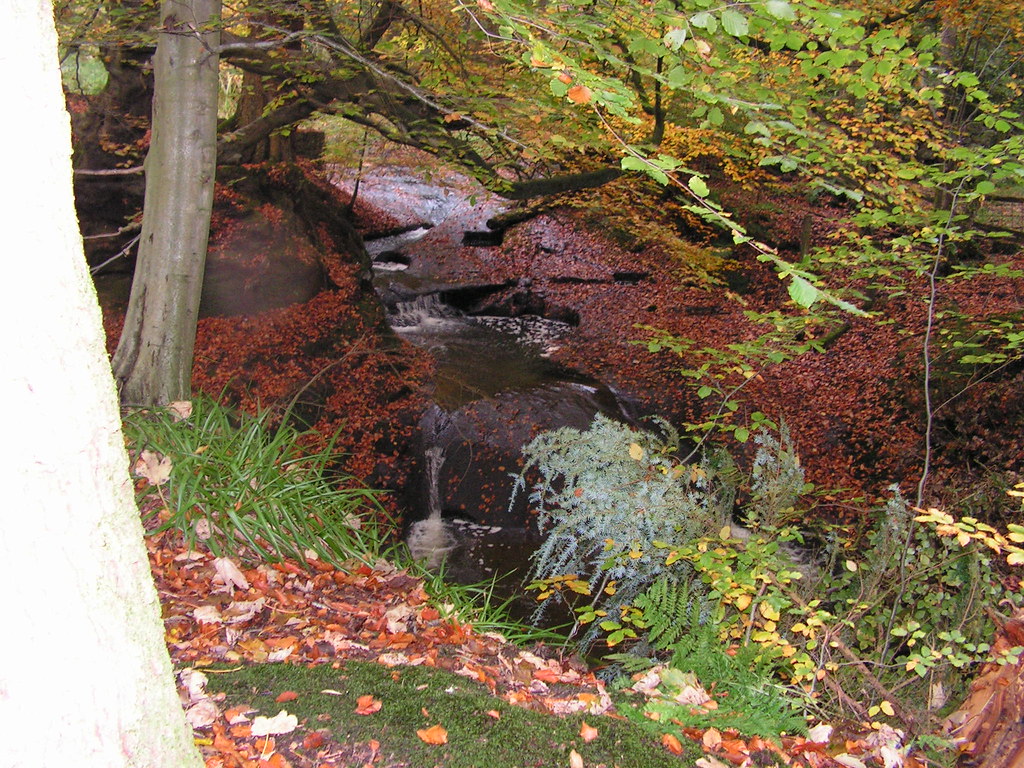 Flickriver Most interesting photos from Dutton Manor, England, United