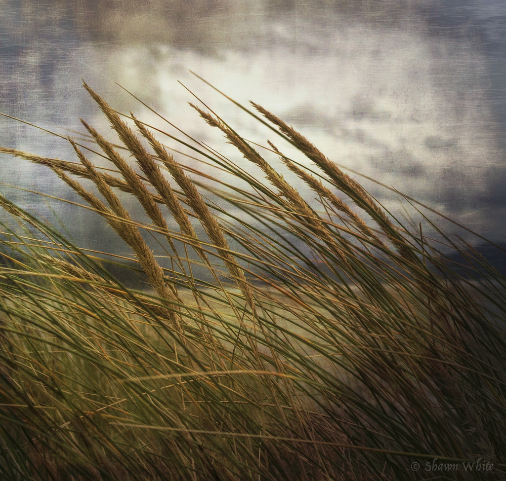 Elevation of 69 Sandilands Rd, Tywyn LL36 9AT, UK Topographic Map