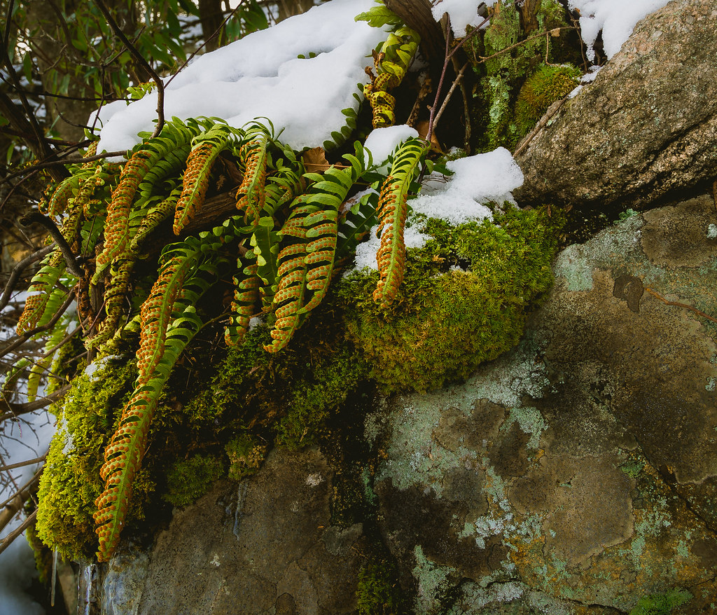 South Blooming Grove, NY, USA Sunrise Sunset Times