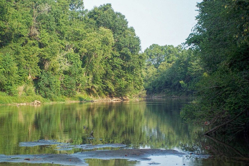 Elevation of Old River Rd, Petal, MS, USA Topographic Map Altitude Map