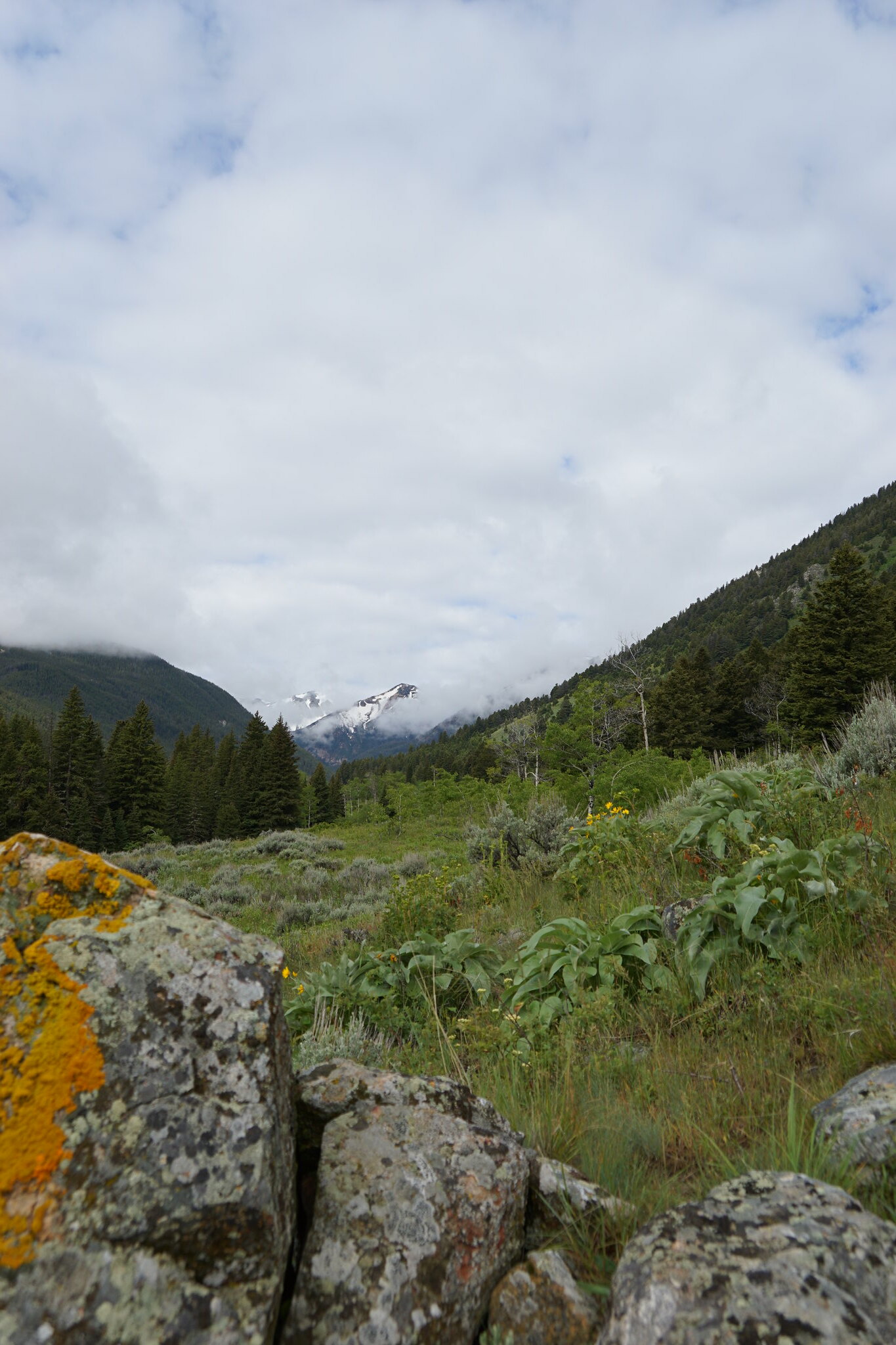 Tobacco Root Mountains day hikes Backcountry Post