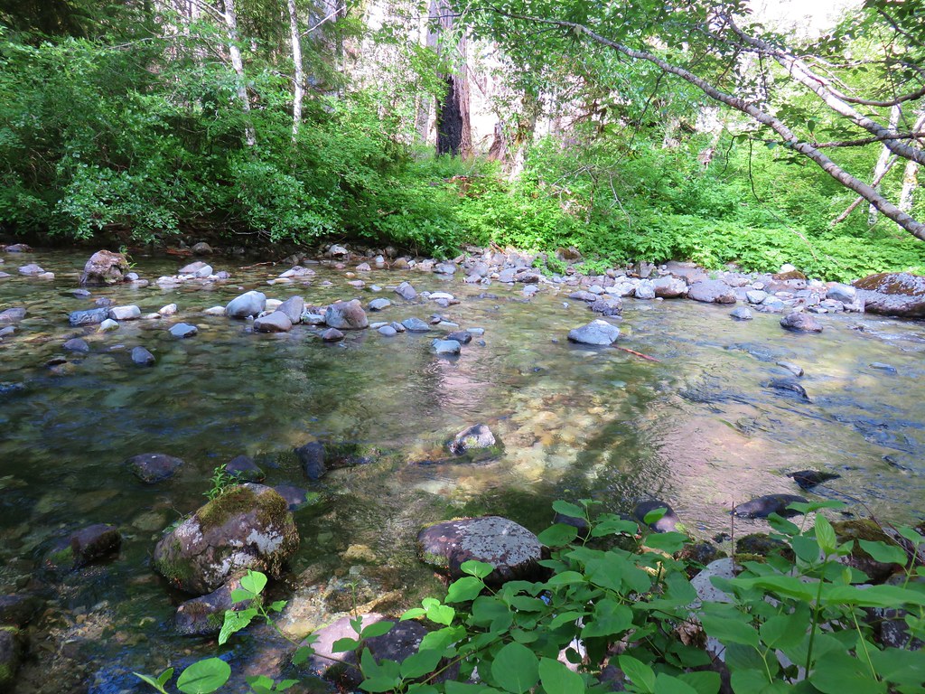 Elk Lake Creek Bull of the Woods Wilderness wanderingyuncks