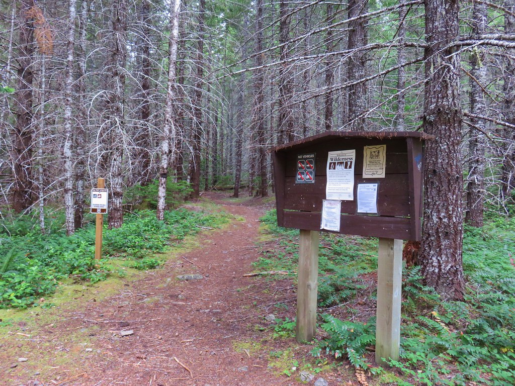 Elk Lake Creek Bull of the Woods Wilderness wanderingyuncks