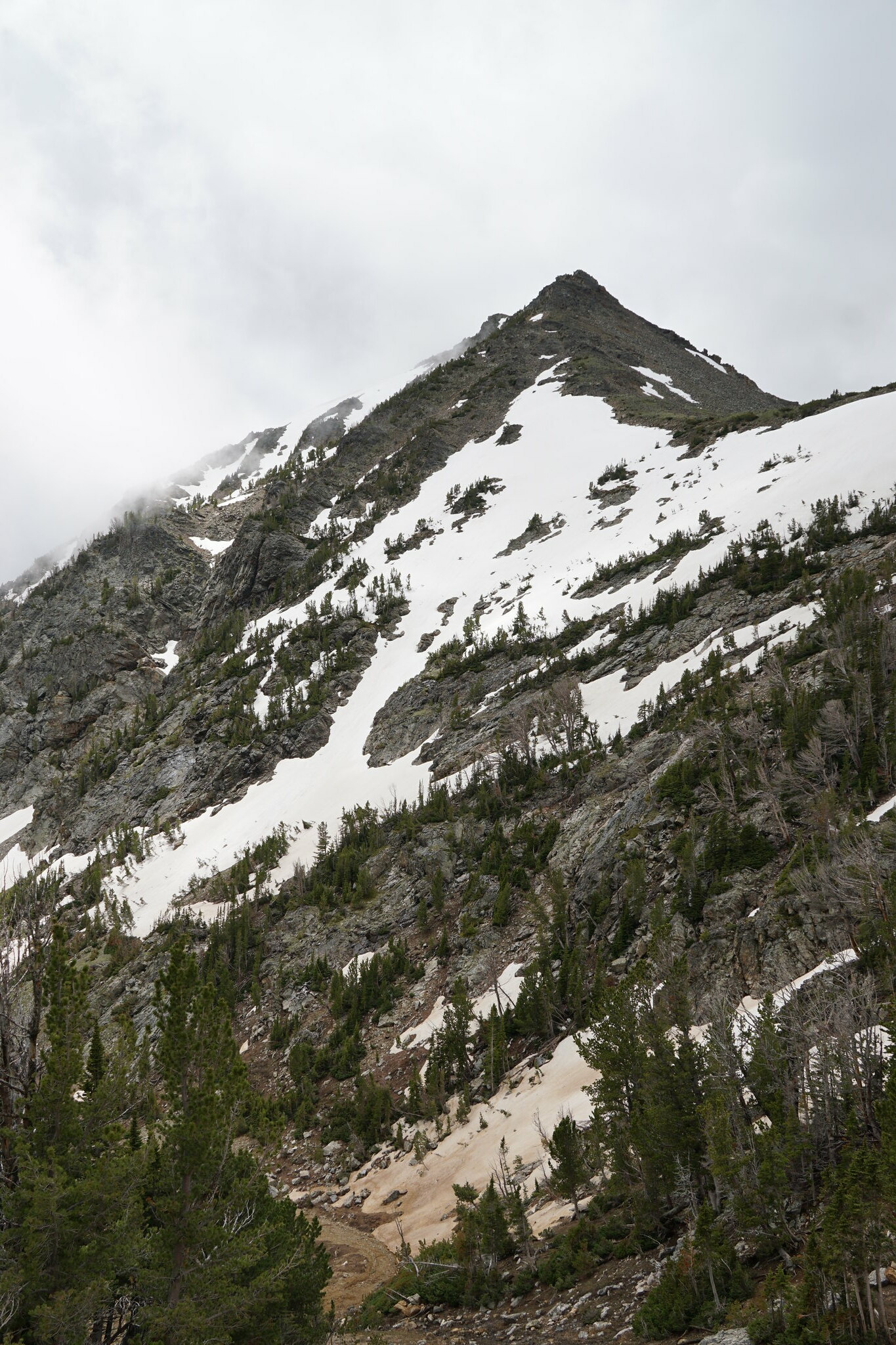 Tobacco Root Mountains day hikes Backcountry Post