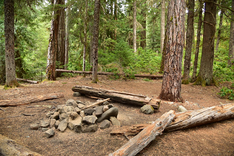 Elk Lake Creek Trail Just Peachy