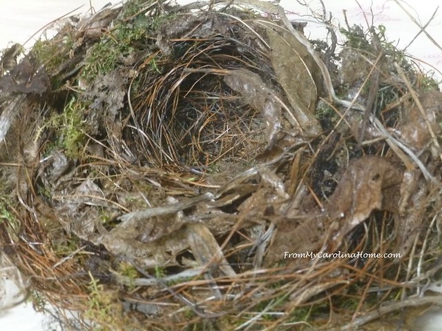 Bird Nest Art Project From My Carolina Home