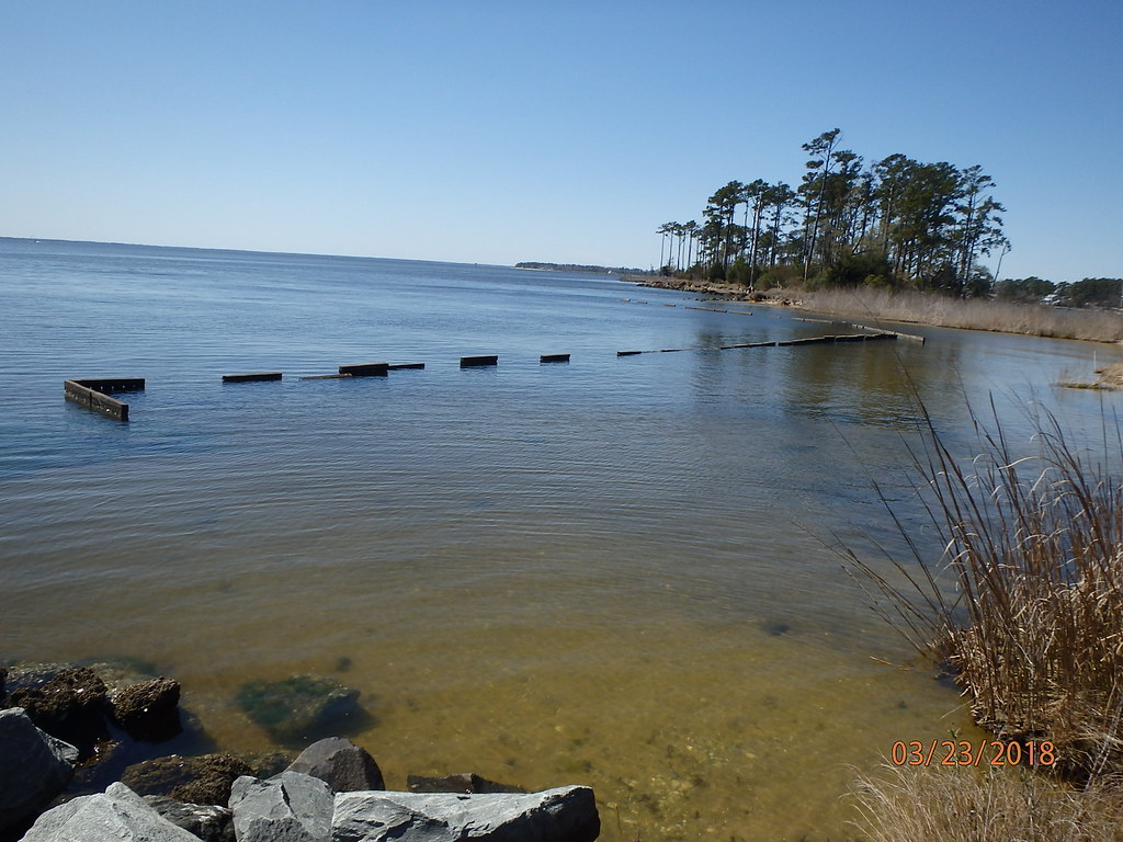 Elevation of S 3rd St, Bayboro, NC, USA Topographic Map Altitude Map
