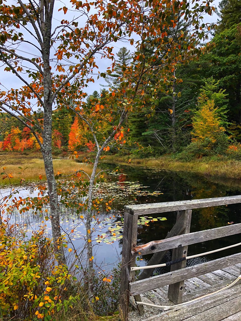 New Vineyard Map Maine Mapcarta