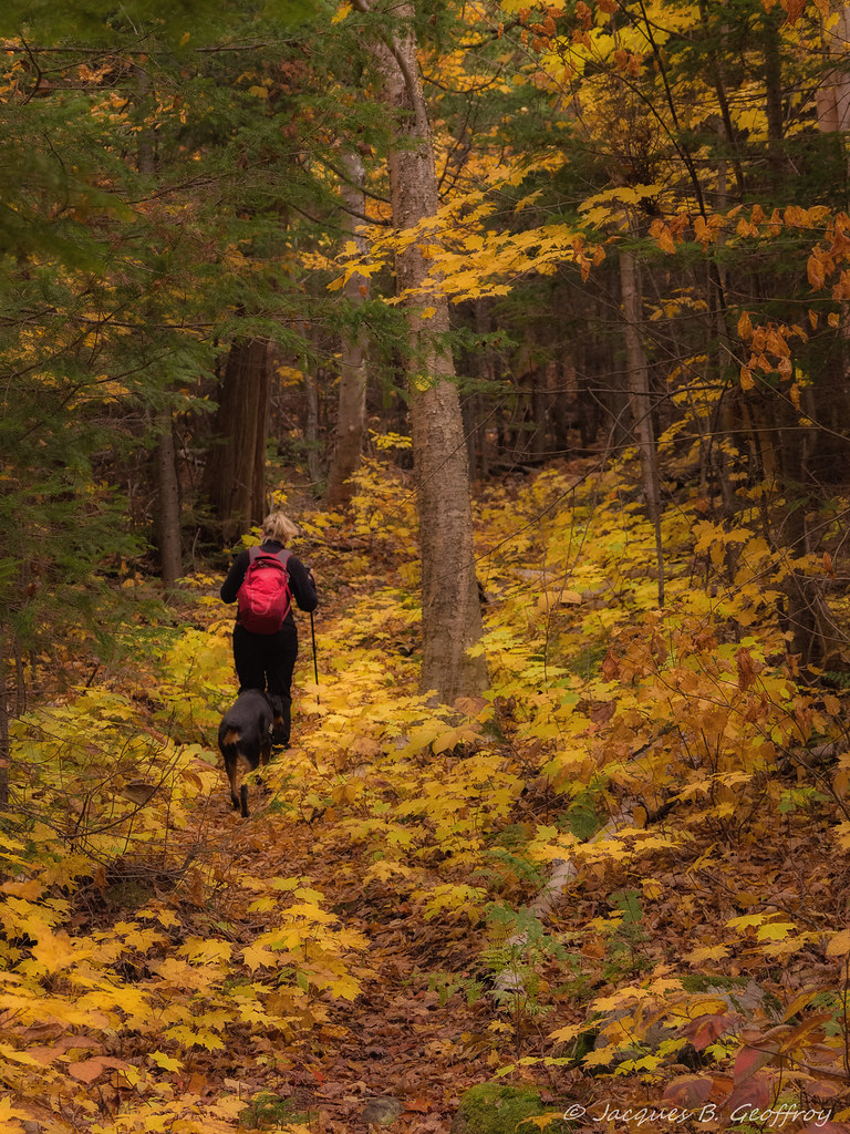 Elevation of Chemin du Lac Sylvère, SaintDonatdeMontcalm, QC J0T 2C0