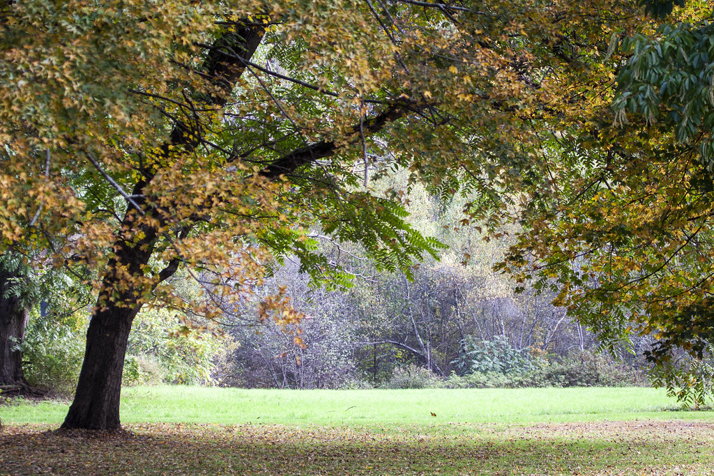 Elevation of Green River Rd, Greenfield, MA, USA Topographic Map