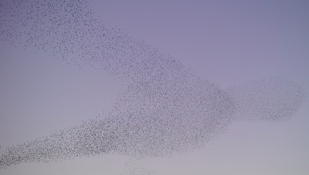 LAUDUNL'ARDOISE Map of Laudunl'Ardoise 30290 France