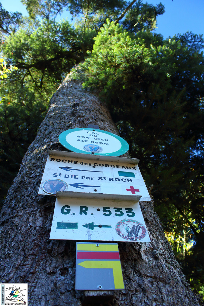 SAINTEMARGUERITE Map of SainteMarguerite 88100 France