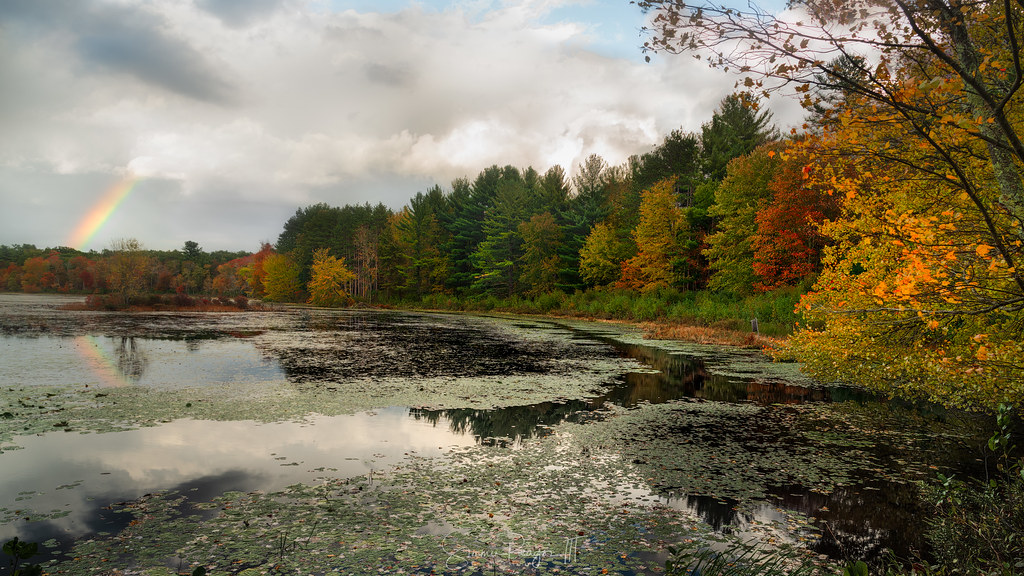 Elevation of Silver St, North Granby, CT, USA Topographic Map