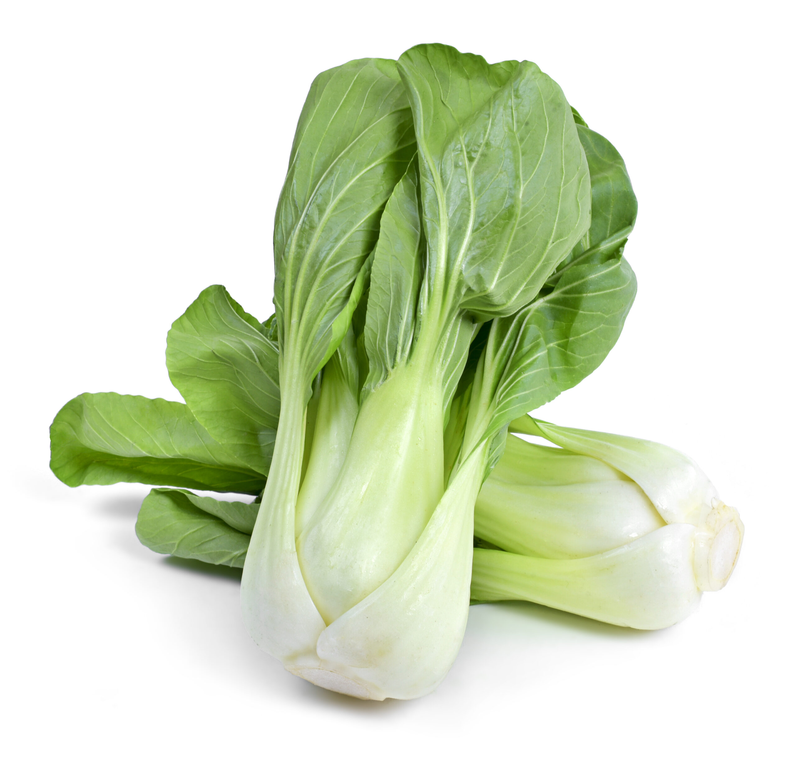Pak choi en opskrift på stegt pak choi med lækker sauce