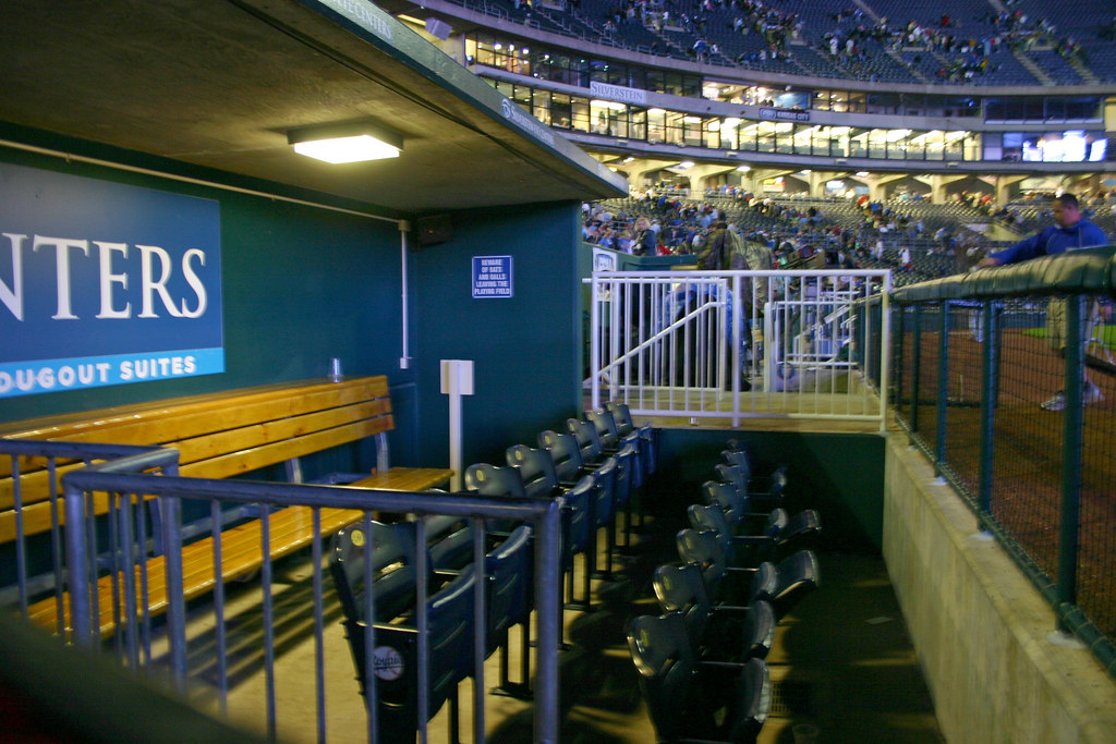 Ballpark Dugouts Baseball Fever