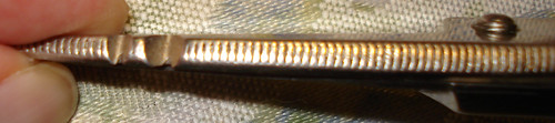 DSC03347_crop
