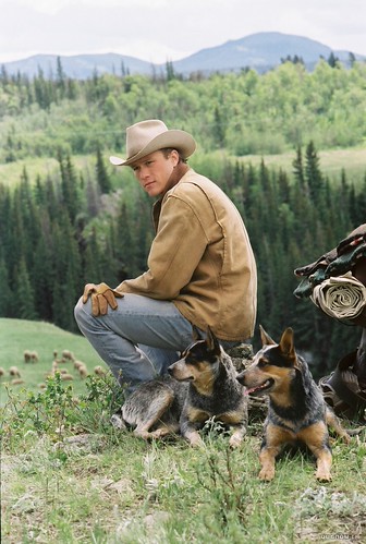 Famous" Cattle Dogs | Australian Cattle Dogs | Flickr
