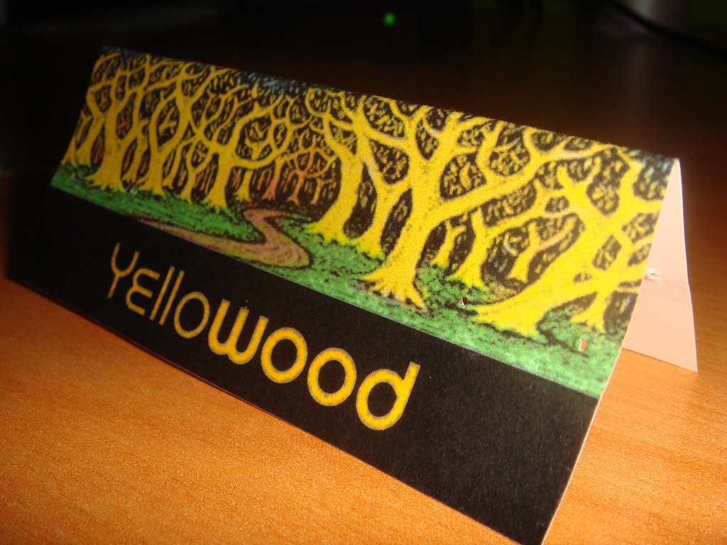 PTFingerboard Yellowood Portuguese Wood Deck's 2