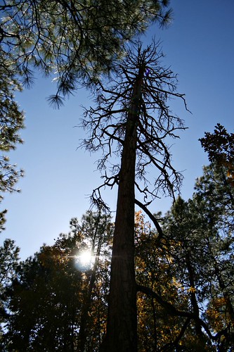stillstanding101709