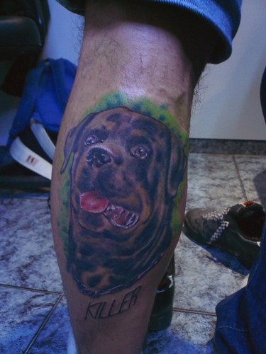 Top Tattoo Design Area: Rottweiler Tattoo 500_x_375_jpg
