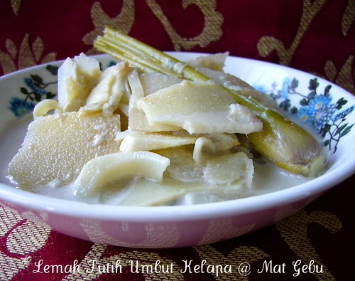 LEMAK PUTIH UMBUT KELAPA Dapur Tanpa Sempadan...