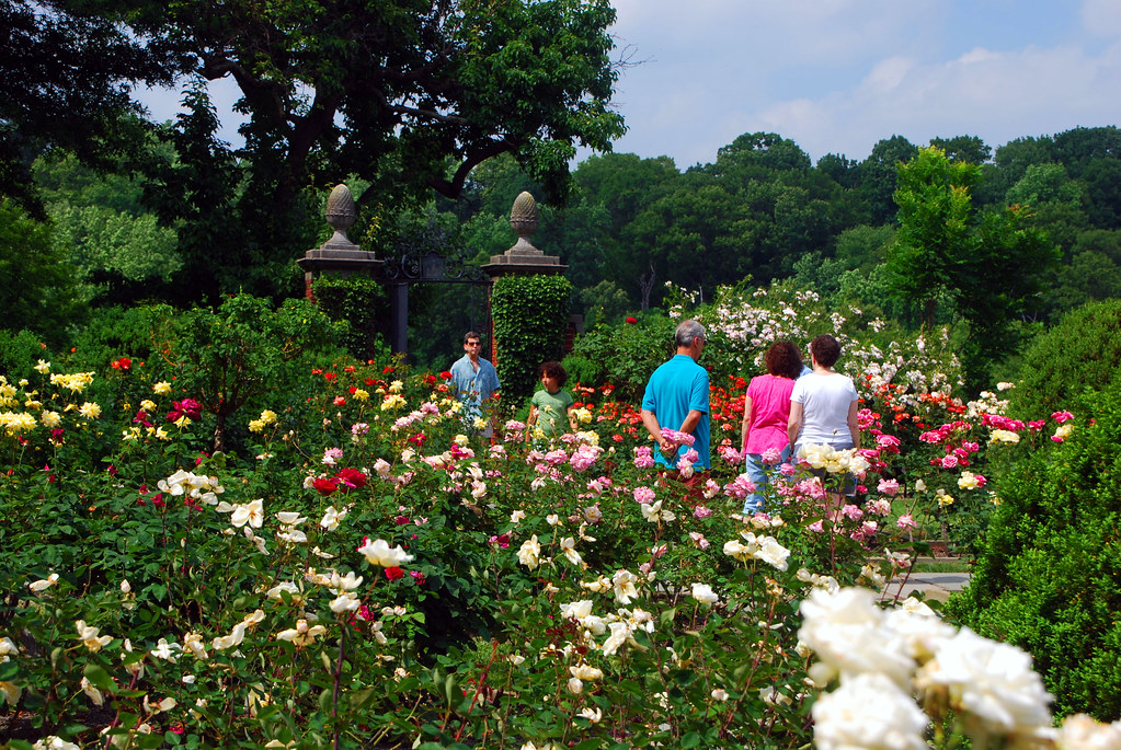 Washington, DC's best park you've never heard of Dumbarton Oaks