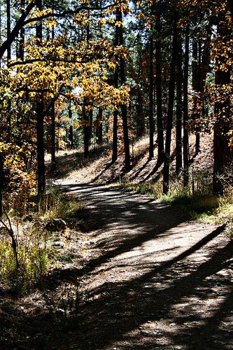 sticktothepath101709