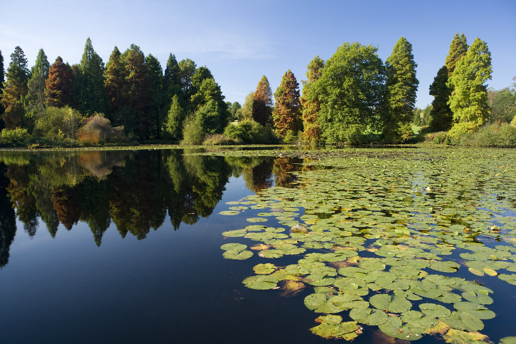 Bedgebury National and Forest Explore Kent