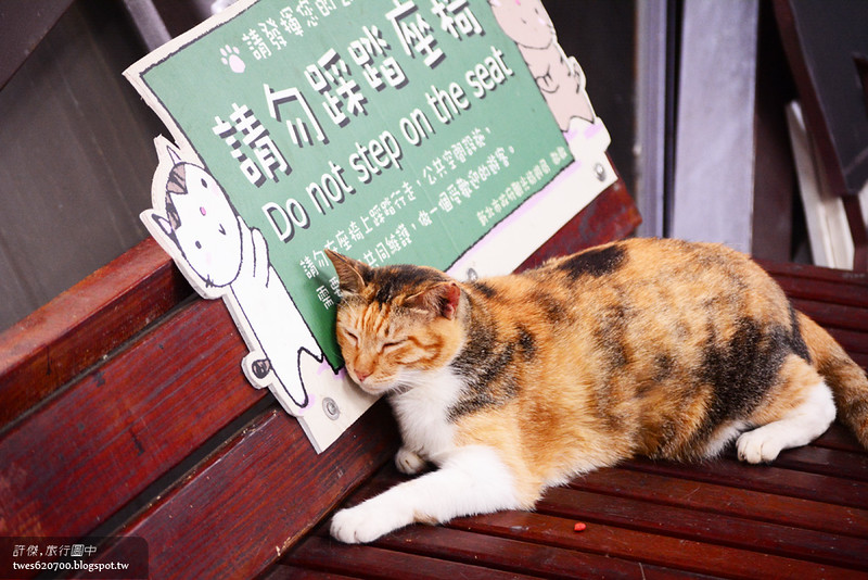新北 瑞芳 猴硐車站 煤礦與貓咪之間的爭寵 許傑 旅行圖中
