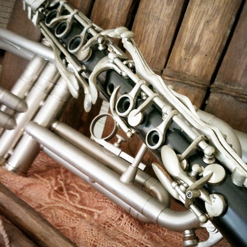 20090705 and trumpet Flickr Photo Sharing!