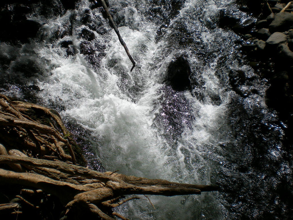 Bassin Blanc Map Mauritius Mapcarta