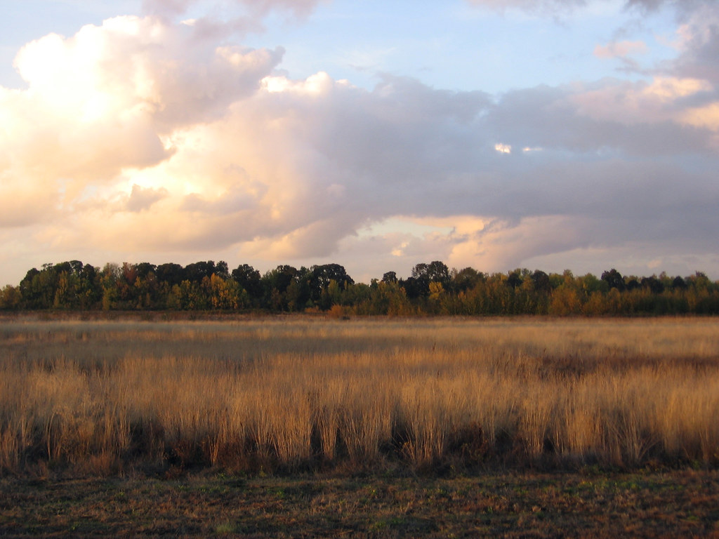 Elevation of OR, USA Topographic Map Altitude Map