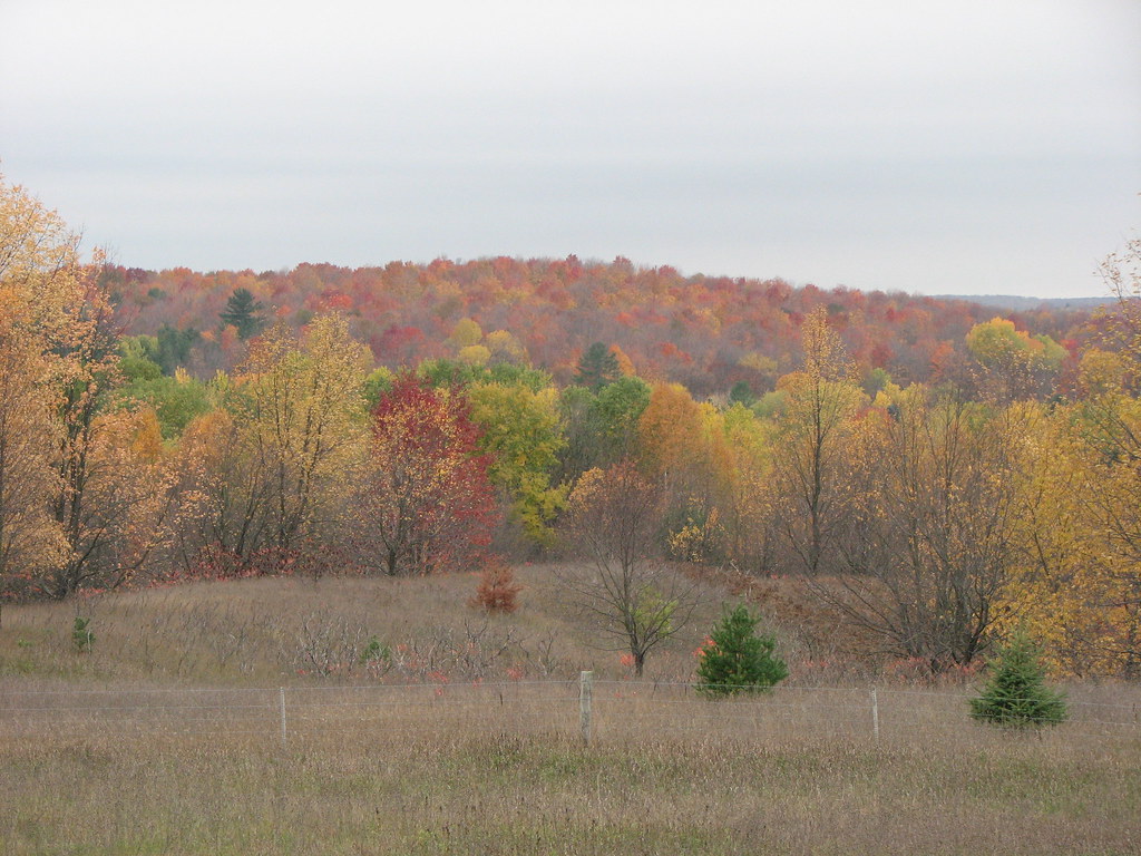 Elevation of Cadillac, MI, USA Topographic Map Altitude Map
