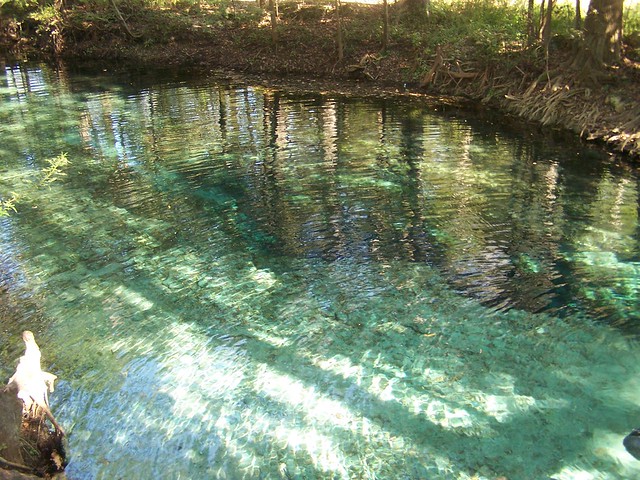 Little Devils Spring (Gilchrist County, FL) Explore system… Flickr