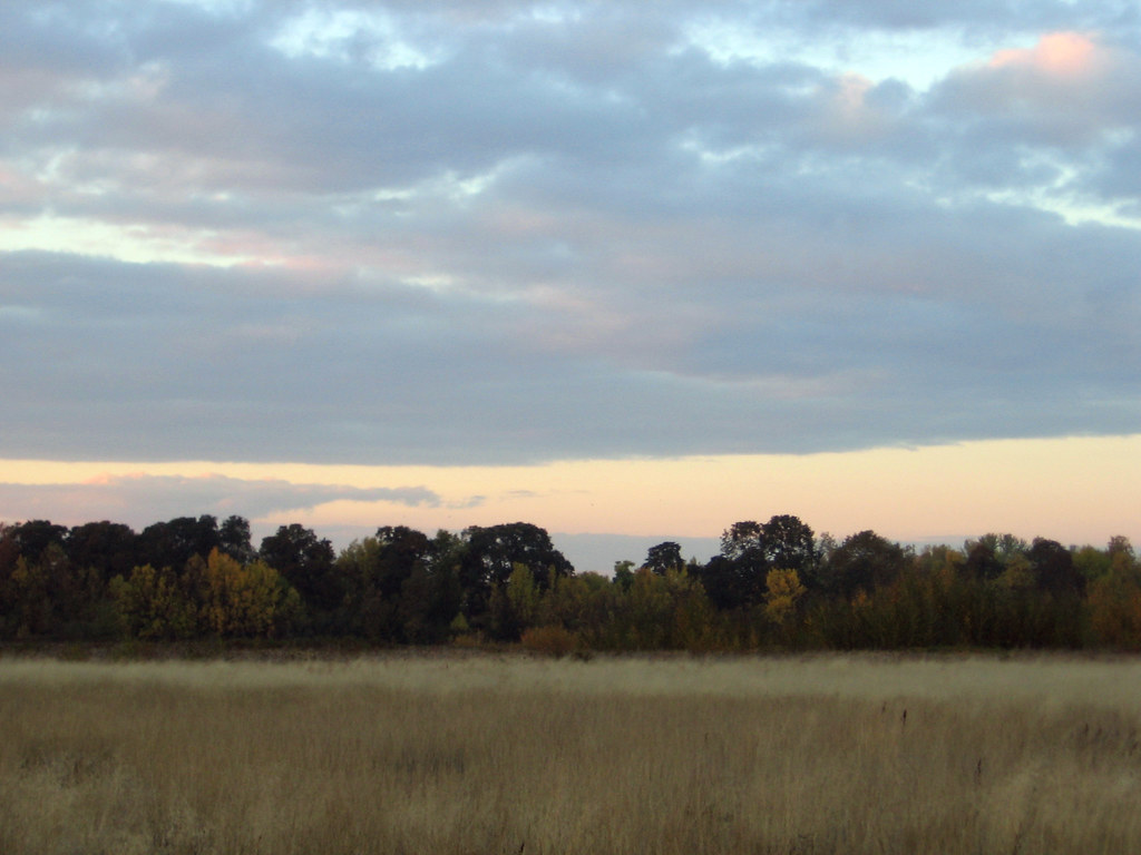 Elevation of 3rd St, OR, USA Topographic Map Altitude Map
