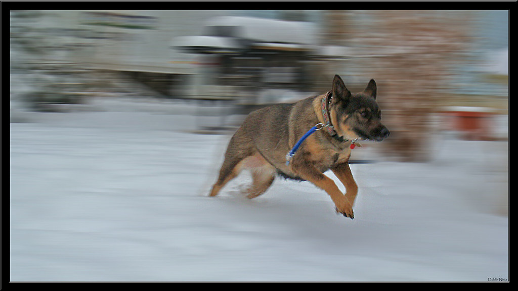 Elevation of 12 Madie Ave, Spotswood, NJ, USA Topographic Map