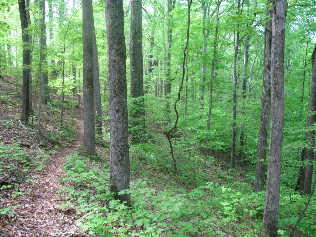 Elevation of Smithville, TN, USA Topographic Map Altitude Map